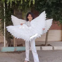 بال فرشته فومی جشن تکلیف ، دیواری و دوشی