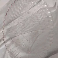 میوه خوری فرانسوی اصل|ظروف سرو و پذیرایی|قم, پاسدار|دیوار