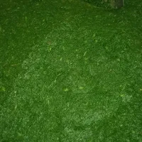 فعال بورک باسوزی|فعالیت داوطلبانه|زابل, |دیوار