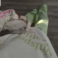 دورس وارداتی عمده