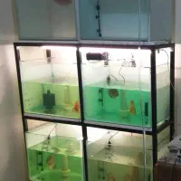 آکواریوم طبقاتی