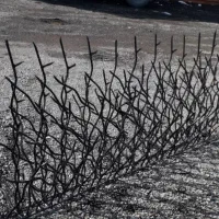 حفاظ تولید حفاظ شاخ گوزنی|عمدهفروشی|کرج, کارخانه قند|دیوار