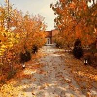 باغچه ۳۰۰مترسندتک برگ منطقه دماوند