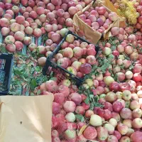 سرکه سیب بروجرد