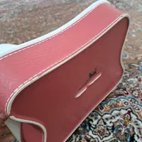 ۲ عدد مرغ خوری