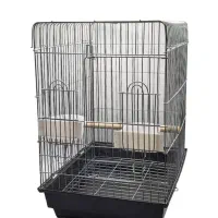 قفس عروس هلندی و طوطیان