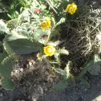 سیم کارت 0912کم کارکرد