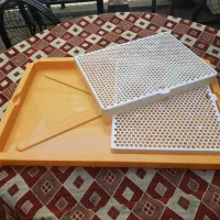 جای ادرار پت