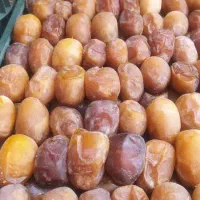 رطب عسلی کبکاب امساله دشتستان بوشهر