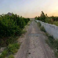 باغچه1800-متری
