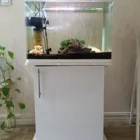 آکواریوم شرکتی مدل دلسا