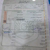 پراید ۷۹ سفید