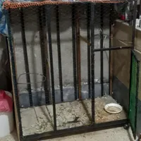 قفسه کبوتر