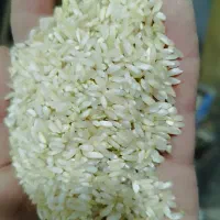 برنج چمپای چیتاب درجه یک جلو مشتری سفیدمیکنم