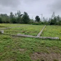 زمین۲۹۵متری باغی داخل طرح با نامه بنیاد