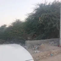 آبشورک شهرک برق|فروش زمین و ملک کلنگی|بندرعباس, |دیوار