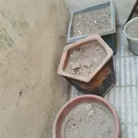 سه عدد گلدان بزرگ