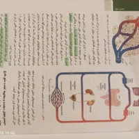 فیزیولوژی گایتون و هال|کتاب و مجله آموزشی|تهران, خواجه نظام الملک|دیوار