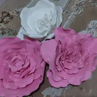 گل فوم
