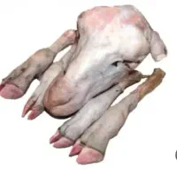 کله پاک کردن