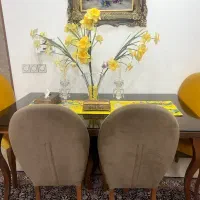 فروش مبلمان ۸ نفره کامل + ناهارخوری ۶ نفره