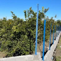 فروش زمین ۵۰۰ متری در /شمال