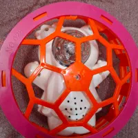 اسباب بازی|اسباب‌‌بازی|آران و بیدگل, |دیوار