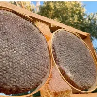 عسل قره داغ