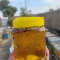 عسل (عمده)|عمده‌فروشی|تهران, سلسبیل شمالی|دیوار