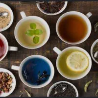 یادگیری رایگان خواص گیاهان ودمنوشها|خدمات آموزشی|خمینی‌شهر, |دیوار