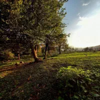 فروش-زمین-کشاورزی-در-جاده-جعفرآباد
