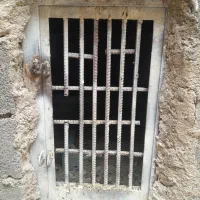 درکله|پرنده|خرمشهر, |دیوار