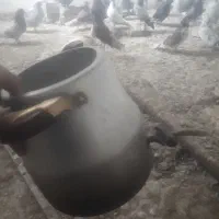 قوری درجه یک|قوری، کتری، قهوه‌ساز دستی|زابل, |دیوار