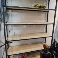 رگال پروفیلی