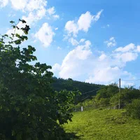 فروش 200متر زمین دوهزار برسه