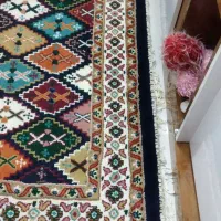 فرش سنتی|فرش|تربتحیدریه, قائم|دیوار