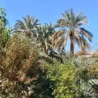 فروش خانه ویلایی نبش خیابان|فروش خانه و ویلا|بم, |دیوار