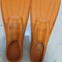 فین شنا می سی سی پی