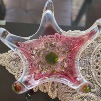 میوه خوری مدوز چک