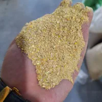 دانه تخمگذار بلدرچین بوقلمون مرغ زینتی صنعتی خانگی|عمدهفروشی|کرج, آق تپه|دیوار