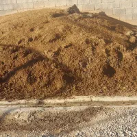 کود گوسفندی یک ساله