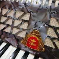 آکاردئون TOMBO مدل TN32N|پیانو، کیبورد، آکاردئون|بندرعباس, |دیوار