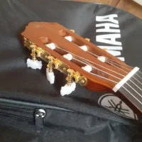 گیتار|گیتار، بیس، امپلیفایر|رشت, پیرکلاچای|دیوار