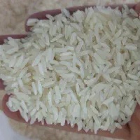 خوردنی|خوردنی و آشامیدنی|تویسرکان, |دیوار