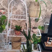 استند فلزی گل