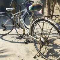 دو عدد دوچرخه ی خارجی|دوچرخه، اسکیت، اسکوتر|برازجان, |دیوار