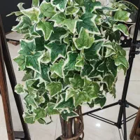 گل مصنوعی دکوراتیو درجه یک A++|گل مصنوعی|نجف‌آباد, منتظری شمالی|دیوار