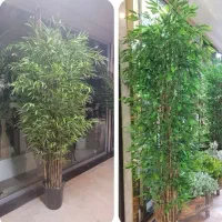 برگ خیزران بامبو چوب بامبو|صنایع دستی و سایر لوازم تزئینی|قزوین, |دیوار