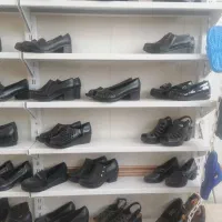 کفش نگین|کیف، کفش، کمربند|سیلوانه, |دیوار