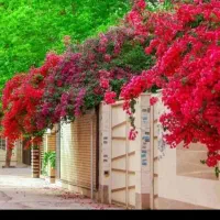 فروش زمین تجاری و مسکونی کوزران